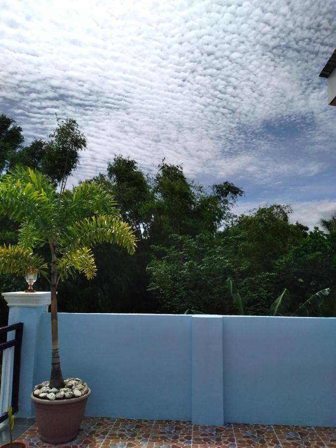 Azulea Lodging House ออสลอบ ภายนอก รูปภาพ