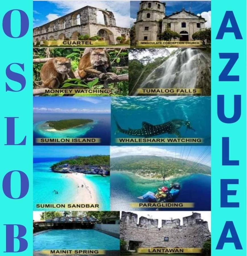 Azulea Lodging House ออสลอบ ภายนอก รูปภาพ
